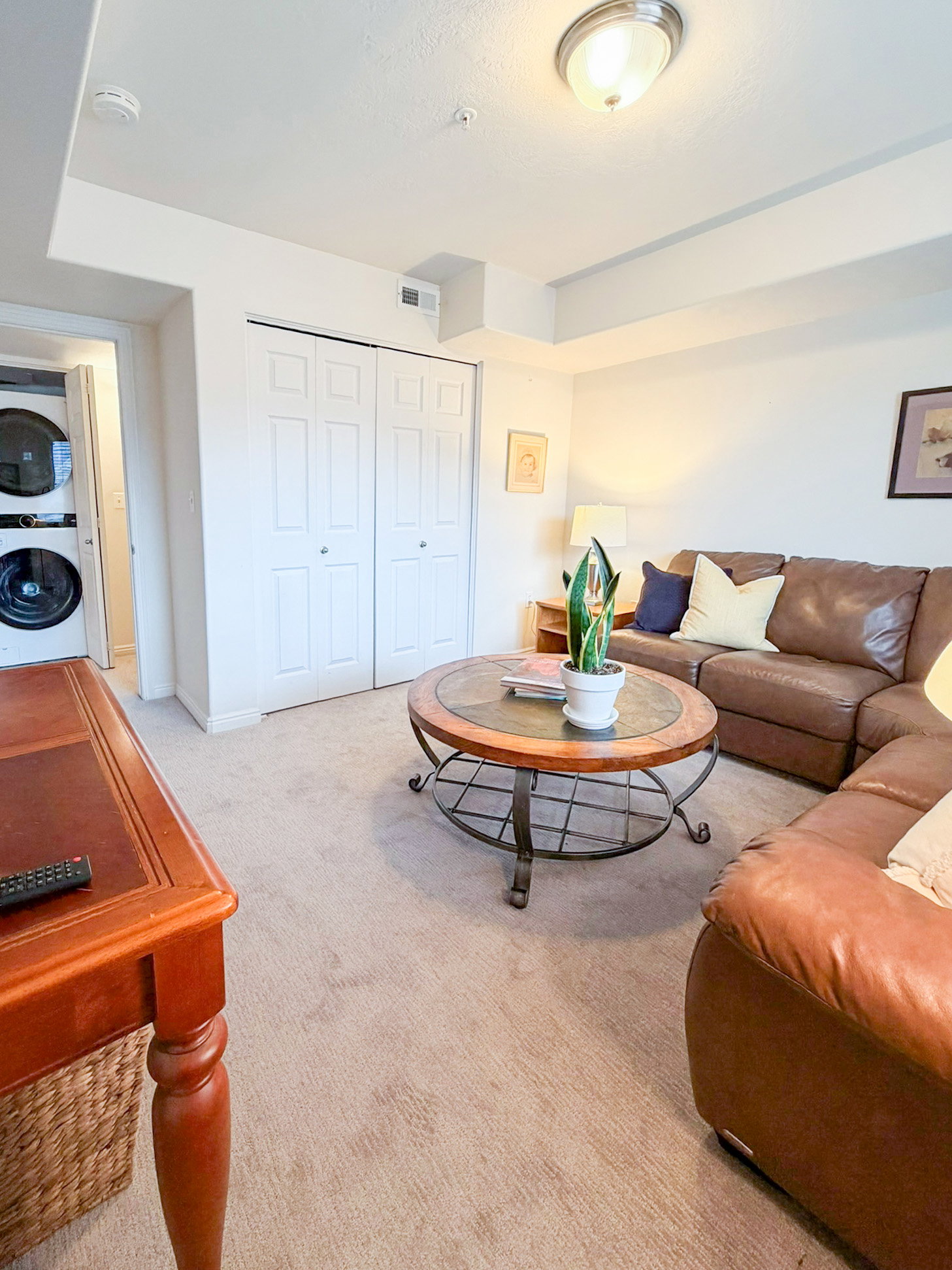 Living room with light carpet and stacked washing machine and dryer