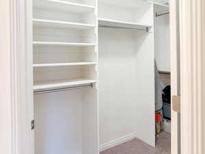 Walk in closet with light colored carpet