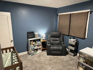 Bedroom featuring carpet and a textured ceiling