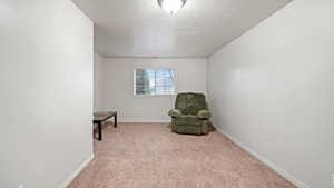 Sitting room with light carpet and a textured ceiling