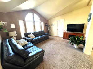 Living room with carpet floors