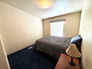 Carpeted bedroom with a textured wall