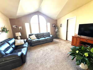 Living room featuring carpet