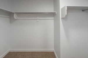 Walk in closet with carpet flooring