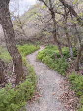 Surrounding community trail featuring a forest view