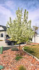 View of grassy yard with concrete driveway