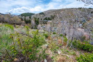 View of mountain backdrop