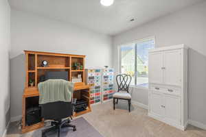 Office space with light colored carpet and a textured ceiling