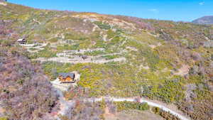 Aerial view of the property