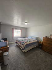 Primary Bedroom featuring dark colored carpet and a textured ceiling