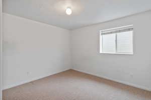 Basement bedroom with carpet
