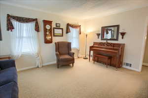 Living area with light carpet, ornamental molding, and a textured ceiling