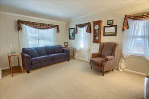 Living area with light carpet, plenty of natural light, and crown molding