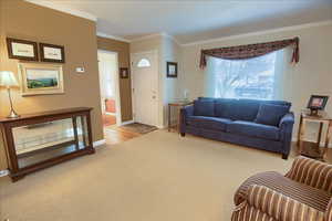 Living area with ornamental molding and light colored carpet