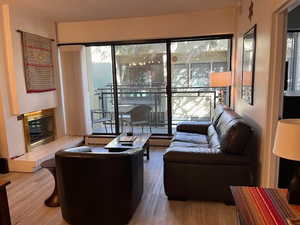 Living room with a glass covered fireplace and wood finished floors