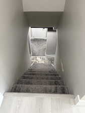 Stairs with baseboards and carpet