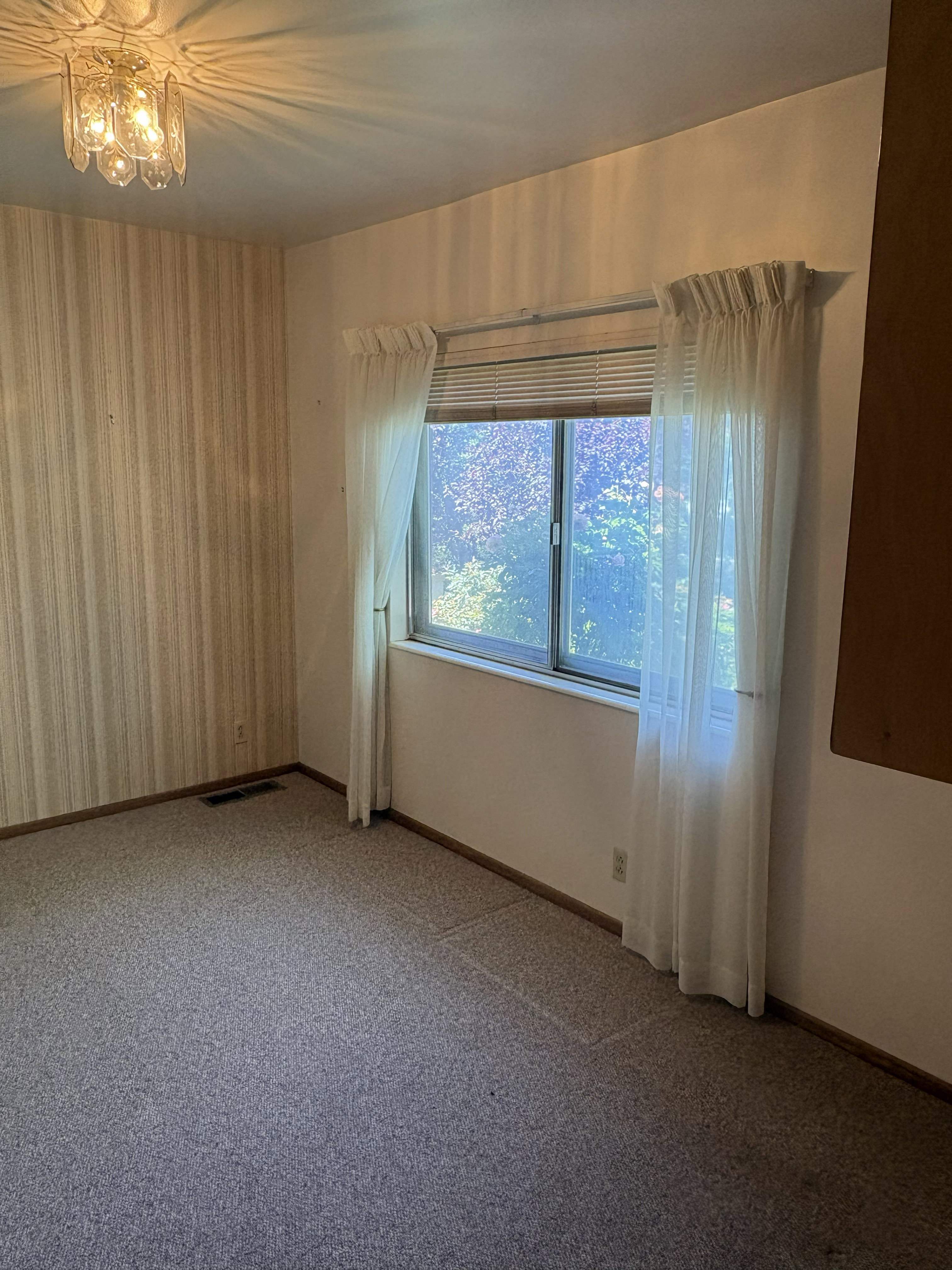 Window with blinds and sheer curtains, overhead decorative light fixture, and wall-to-wall carpeting