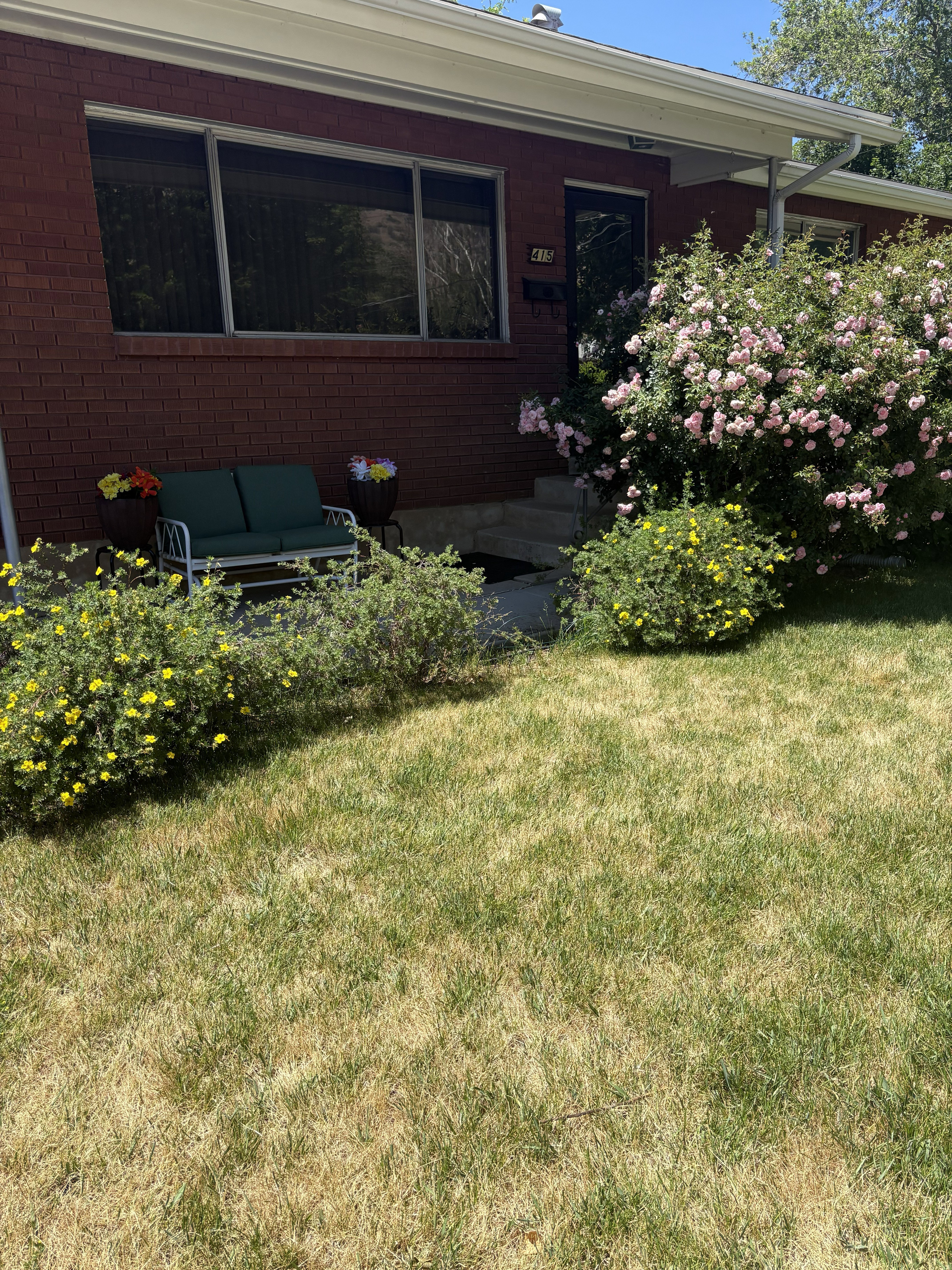 Brick exterior with a covered entry, large windows, and mature landscaping featuring flowering shrubs