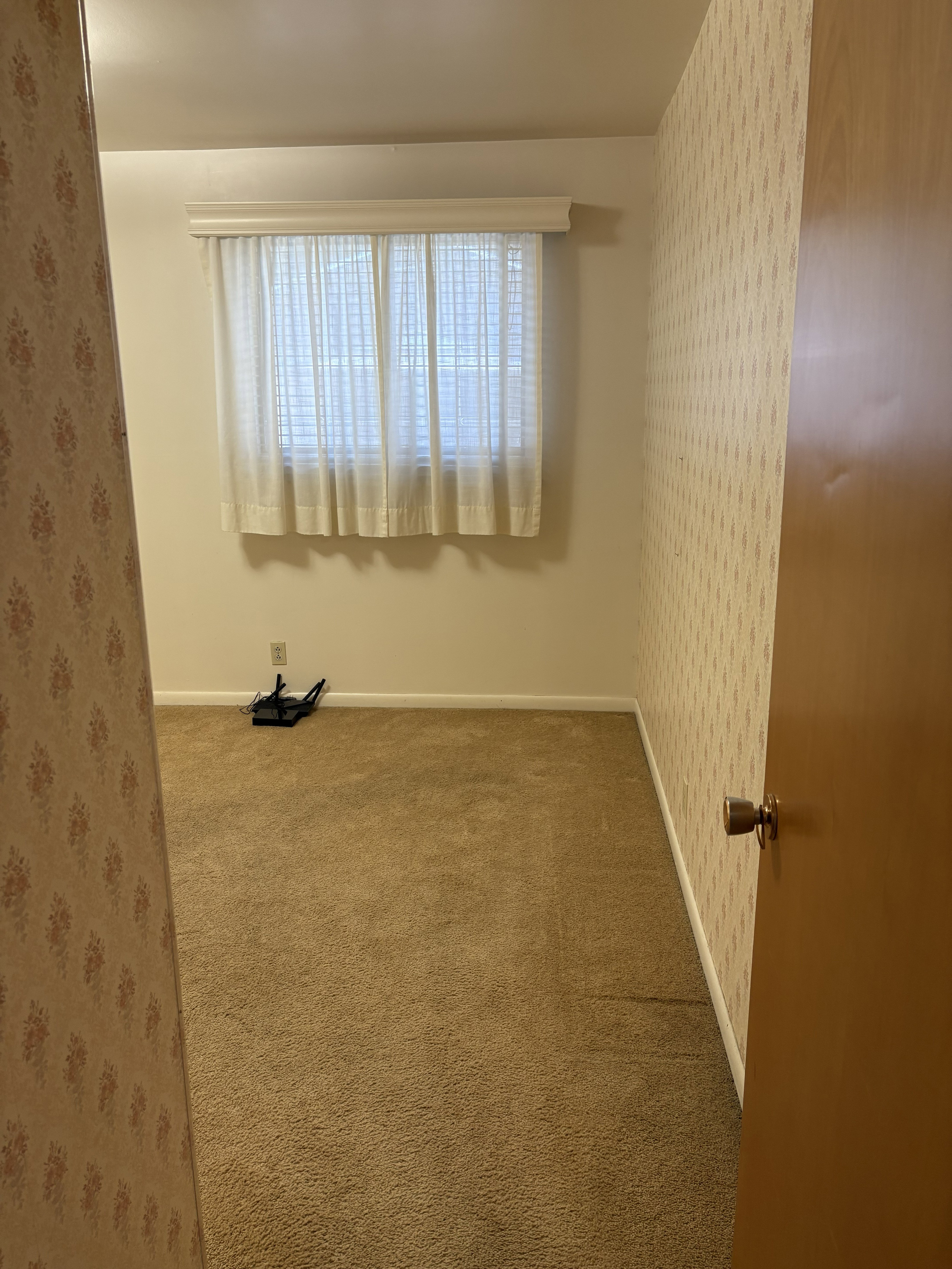 Carpeted room featuring a single window with blinds and sheer curtains, patterned wallpaper, and a solid wood door