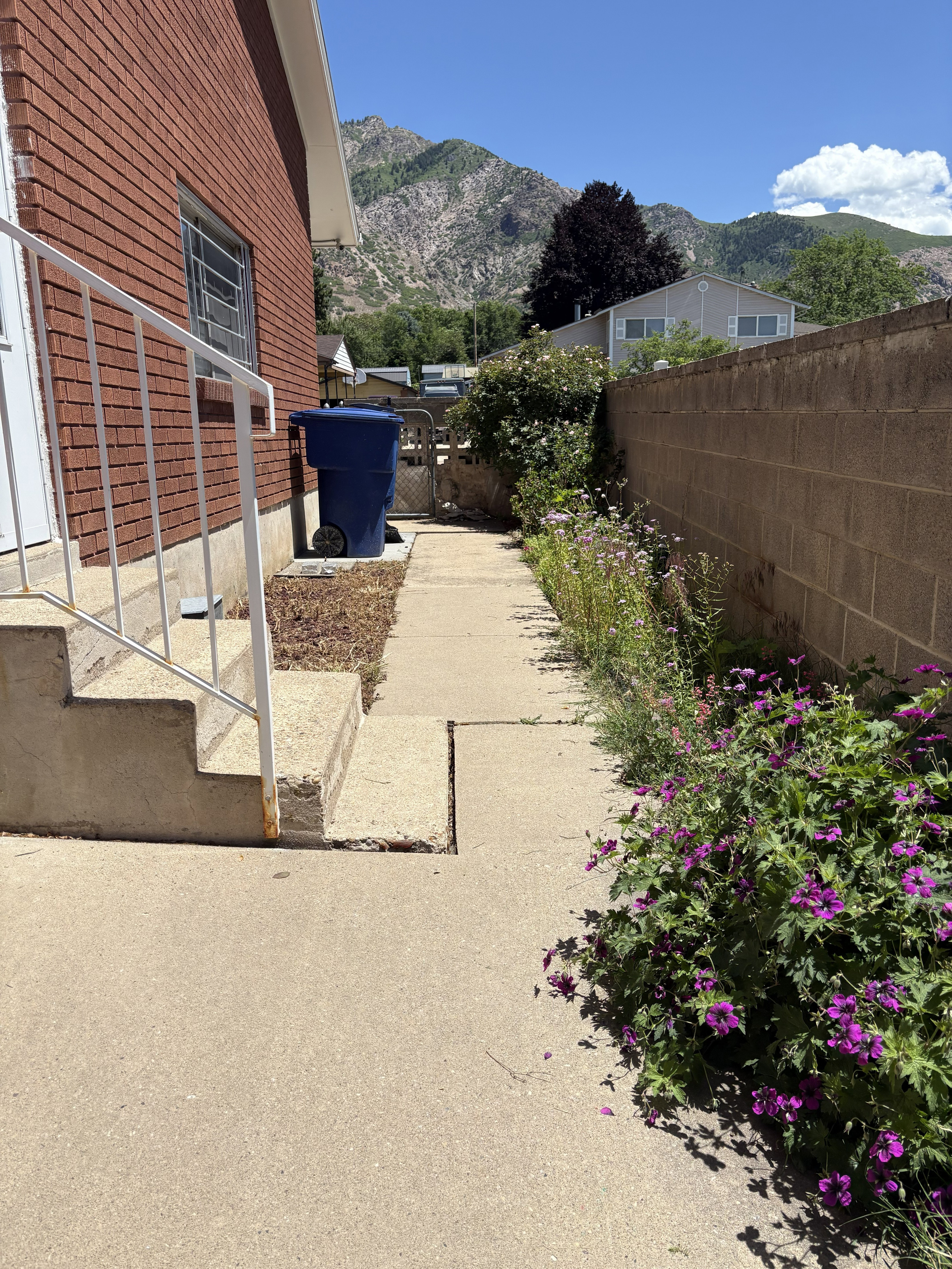 Brick exterior with a concrete walkway, established purple flowering plants, and a partial privacy wall