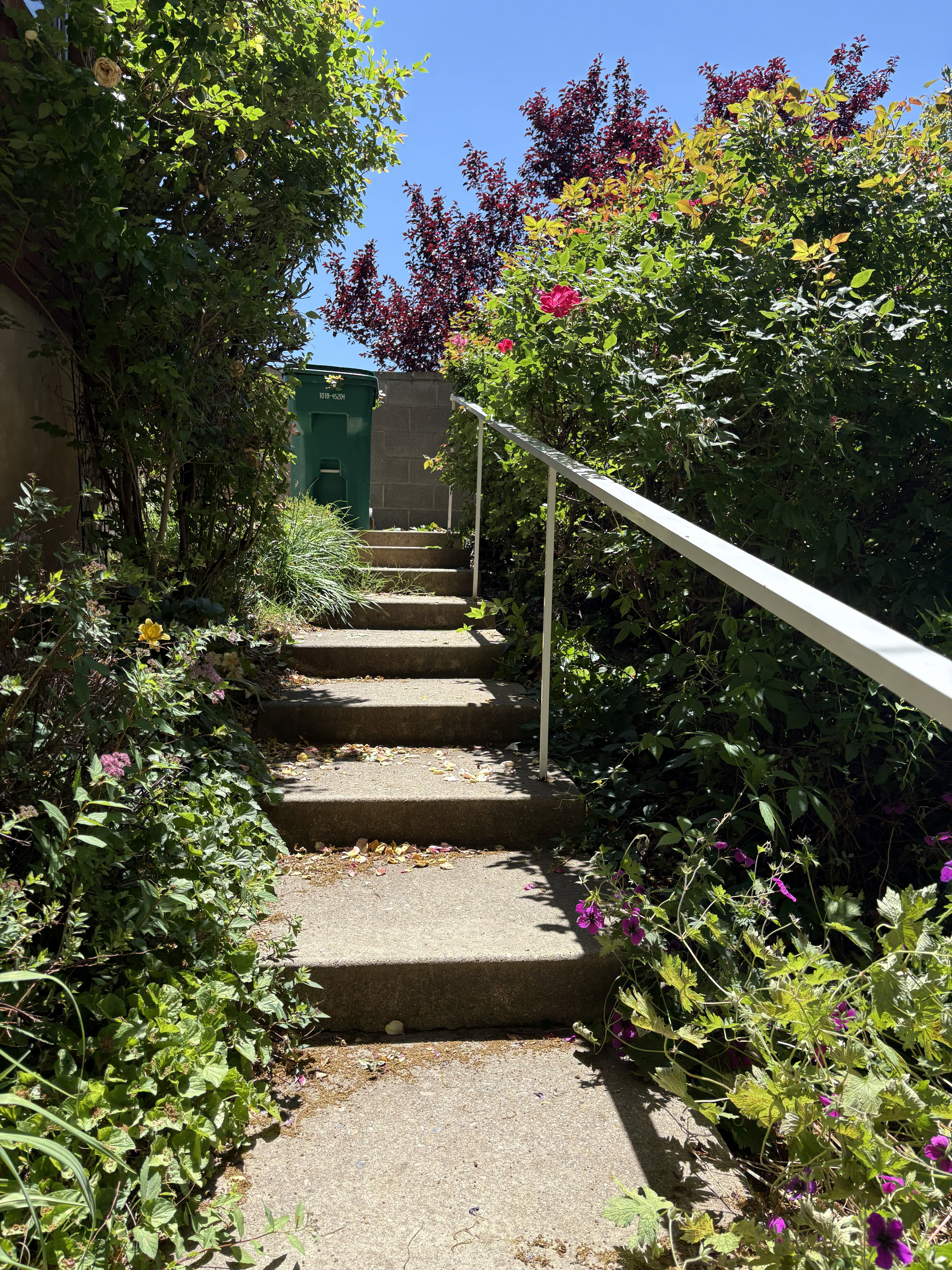 Concrete exterior staircase featuring a white handrail, surrounded by vibrant foliage