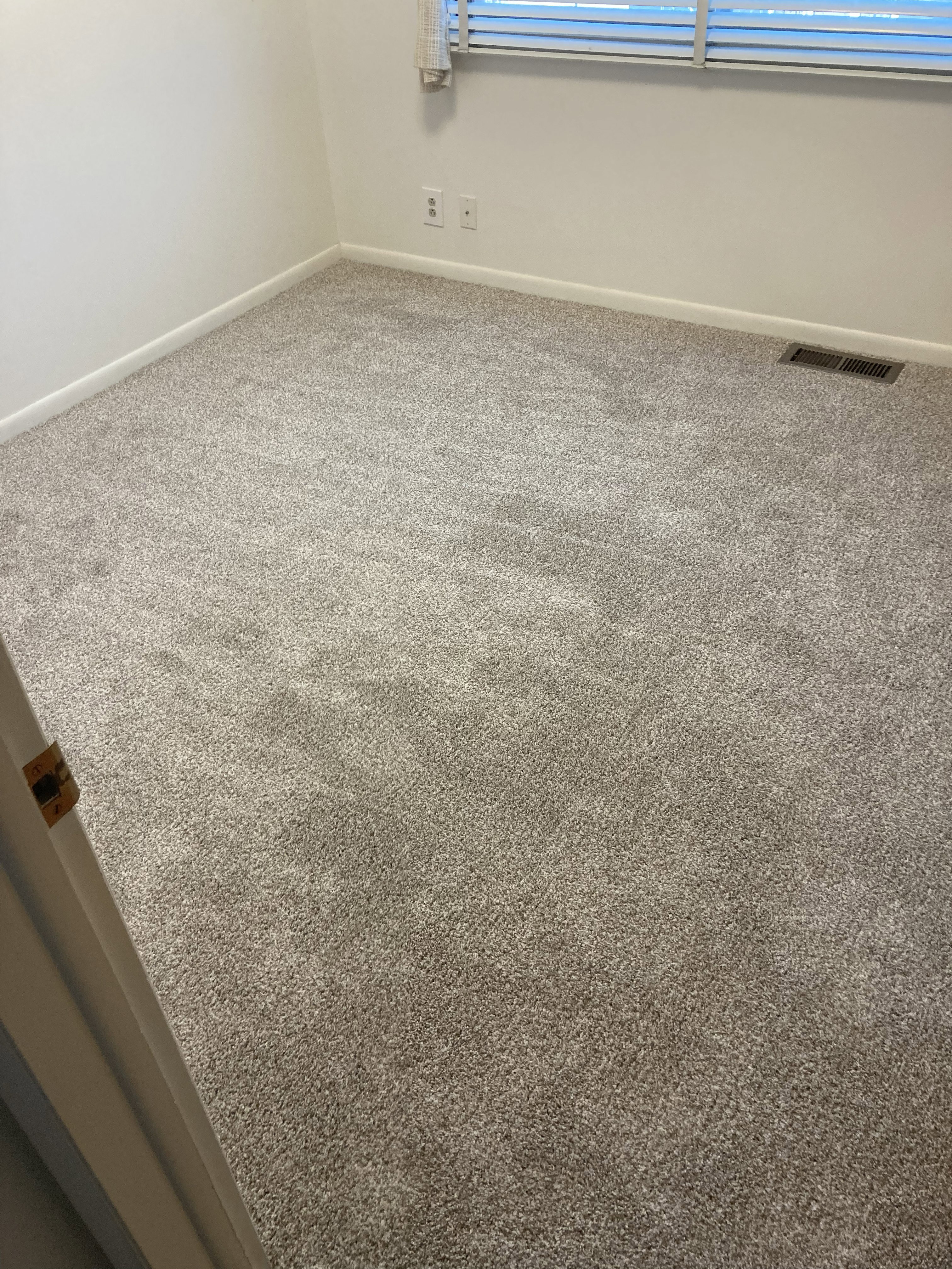 Light gray textured carpet covering the floor