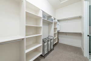 Walk in closet featuring light carpet