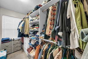 Walk in closet featuring light colored carpet