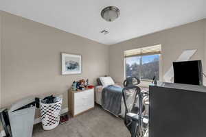 Bedroom featuring baseboards and light carpet