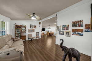 Living room featuring a ceiling fan, dark wood-style floors, and plenty of natural light