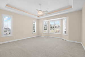 Unfurnished room featuring light carpet, a ceiling fan, plenty of natural light, and a raised ceiling