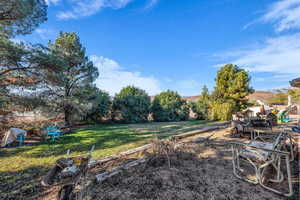 View of grassy yard