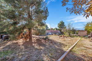 View of yard with a storage shed