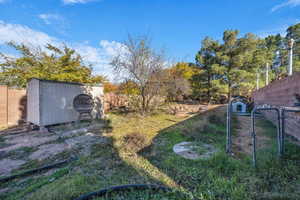 Fenced backyard featuring a gate and a storage shed