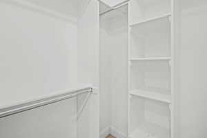 View of walk in closet