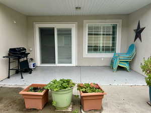 View of patio with grilling area