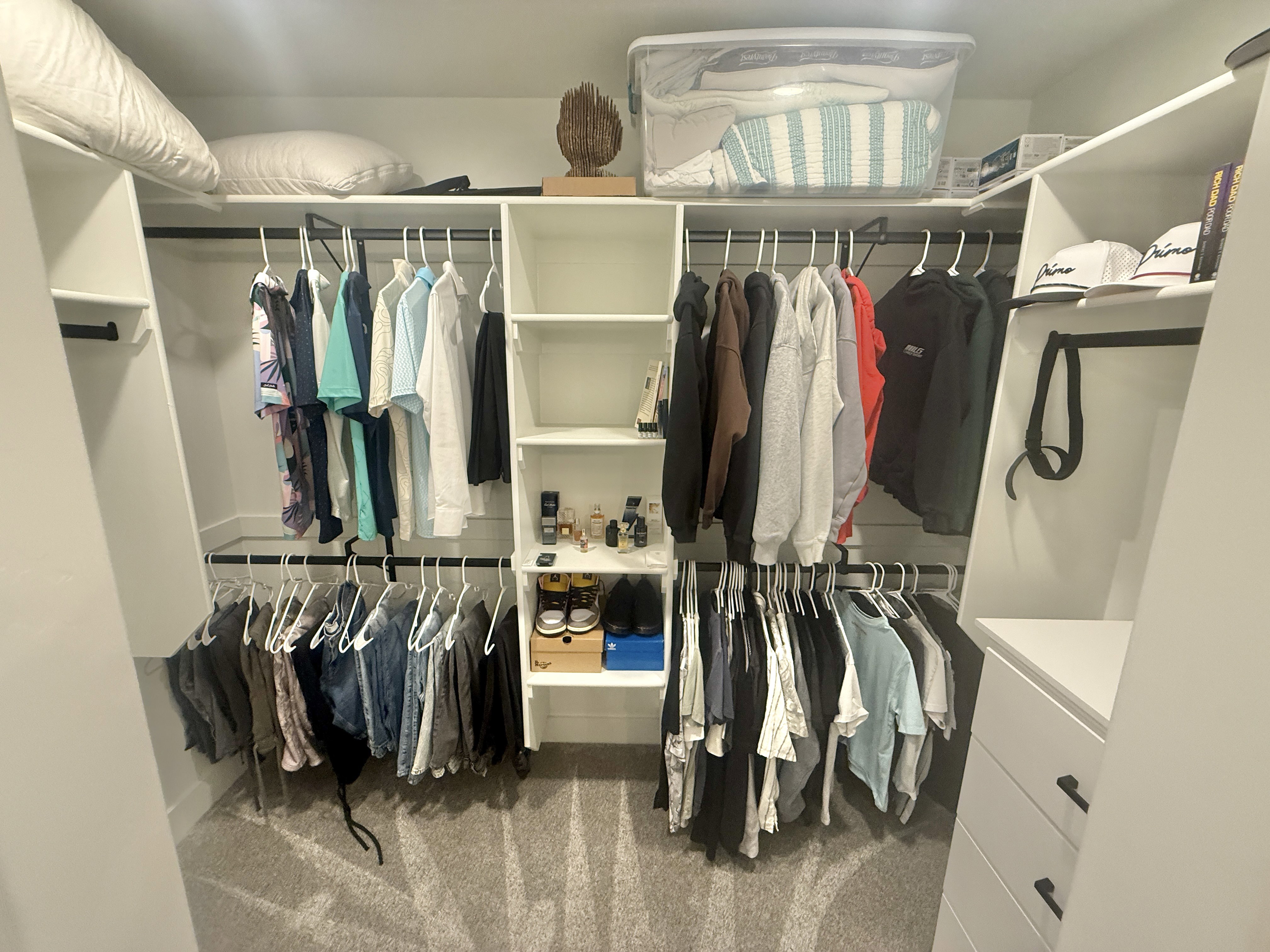 Walk in closet with carpet