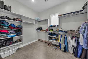 Walk in closet with light colored carpet