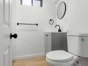 Full bathroom featuring light wood-style floors and vanity