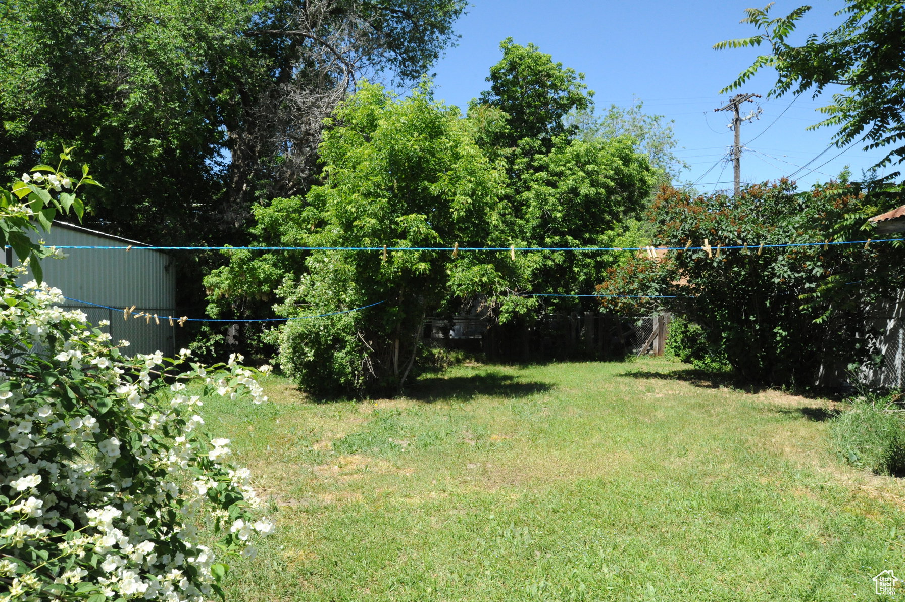 View of green lawn