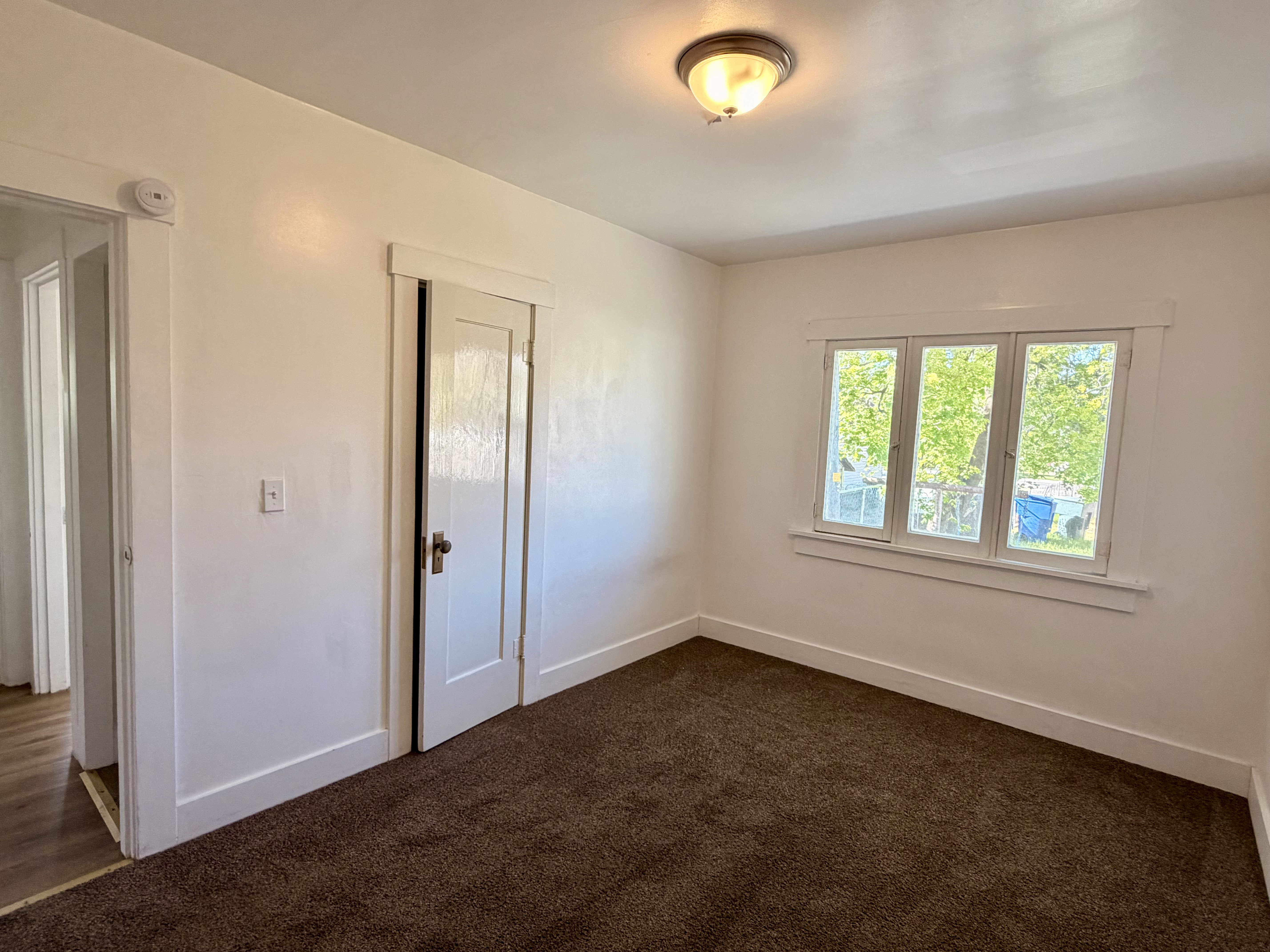 Bright interior space featuring a multi-pane window, flush-mount ceiling light fixture, and brown carpet flooring