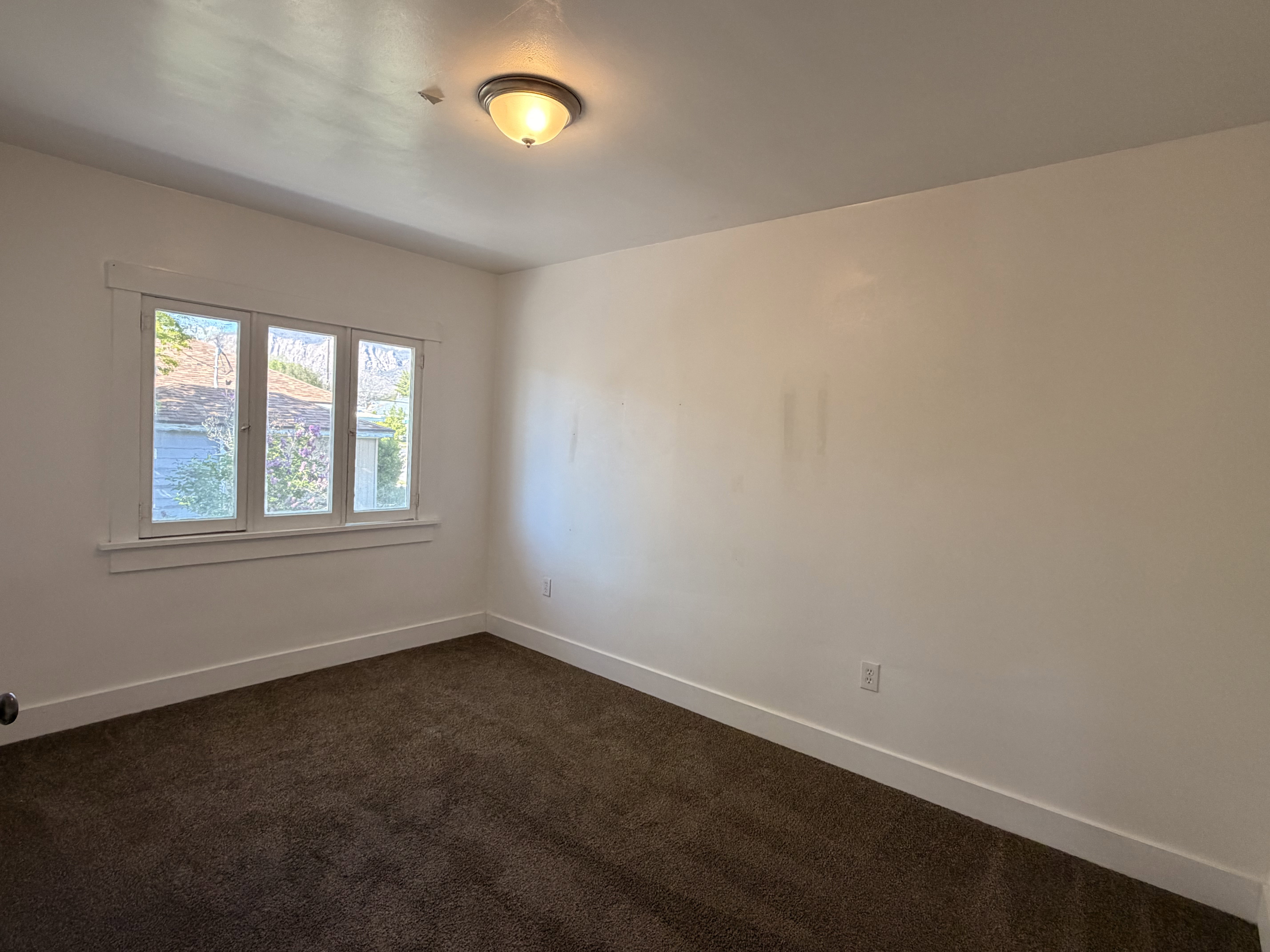 Room featuring a triple-pane window with white trim, a flush-mount ceiling light fixture, white painted walls, white baseboards, and dark brown carpeting