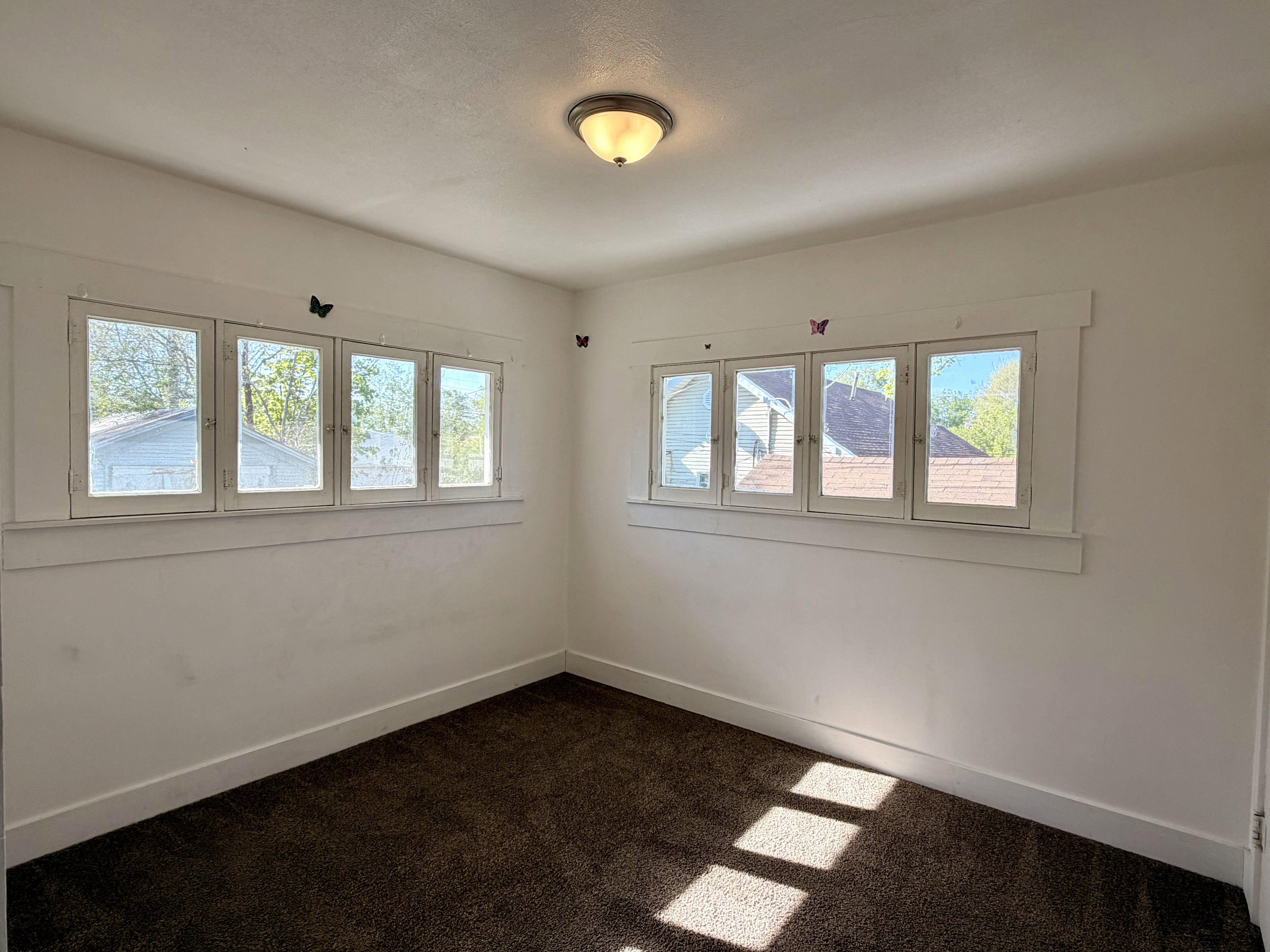 Bright interior space featuring multiple multi-pane windows with white trim, dark carpeting, and a flush-mount ceiling light fixture
