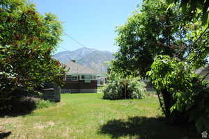 View of grassy yard with a mountain view