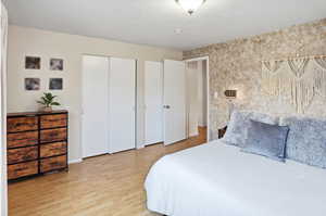 Primary bedroom with light wood finished floors, 2 closets, and multiple windows