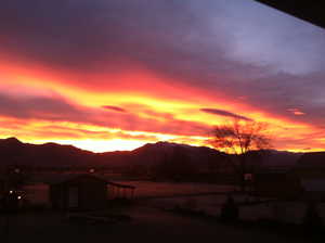 Looking at the sunrise from the back deck.