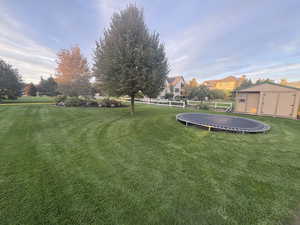 View of yard with a trampoline and a storage unit