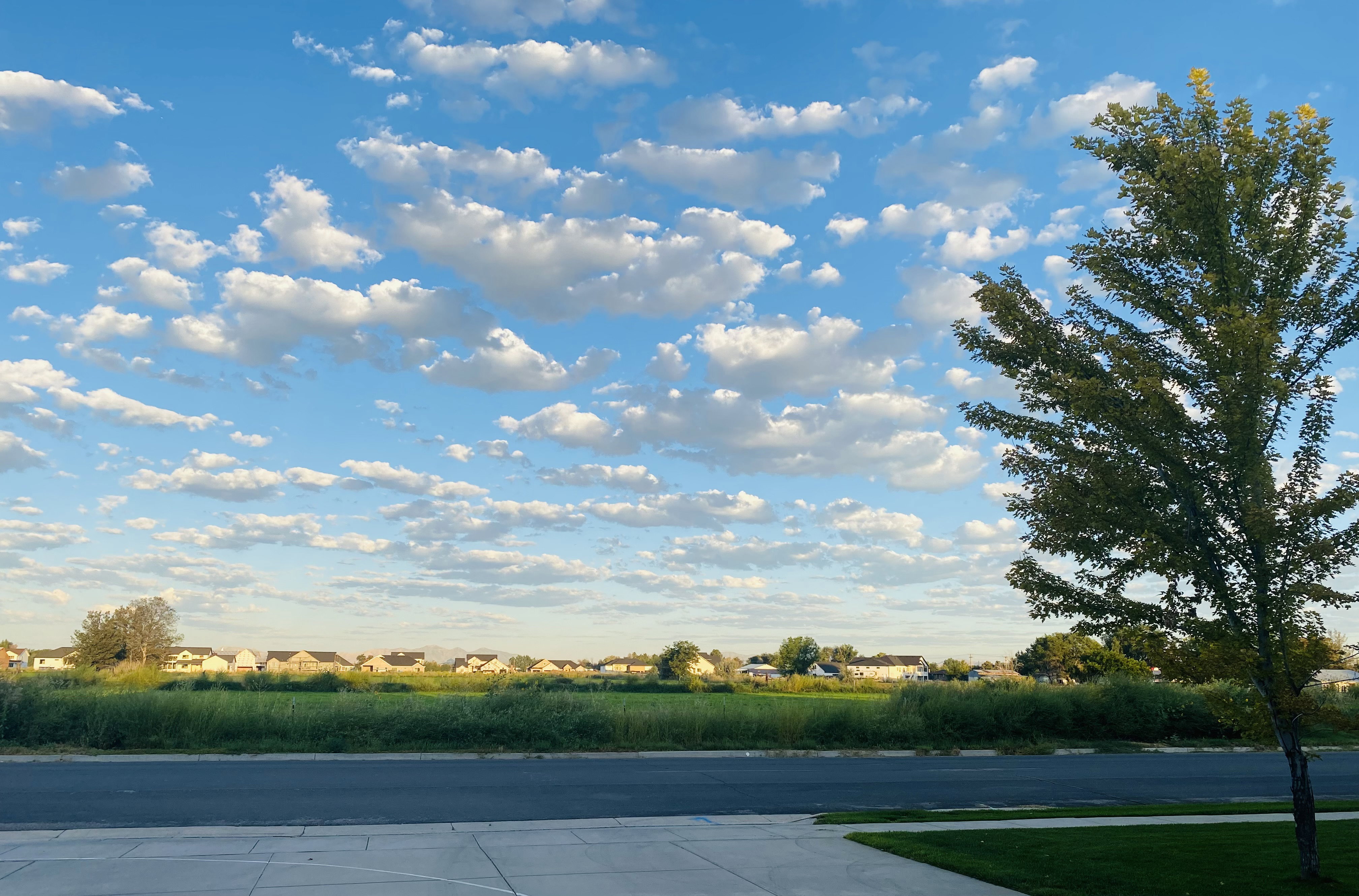 Looking West from garage