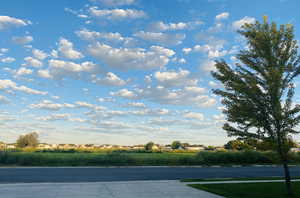 Looking West from garage