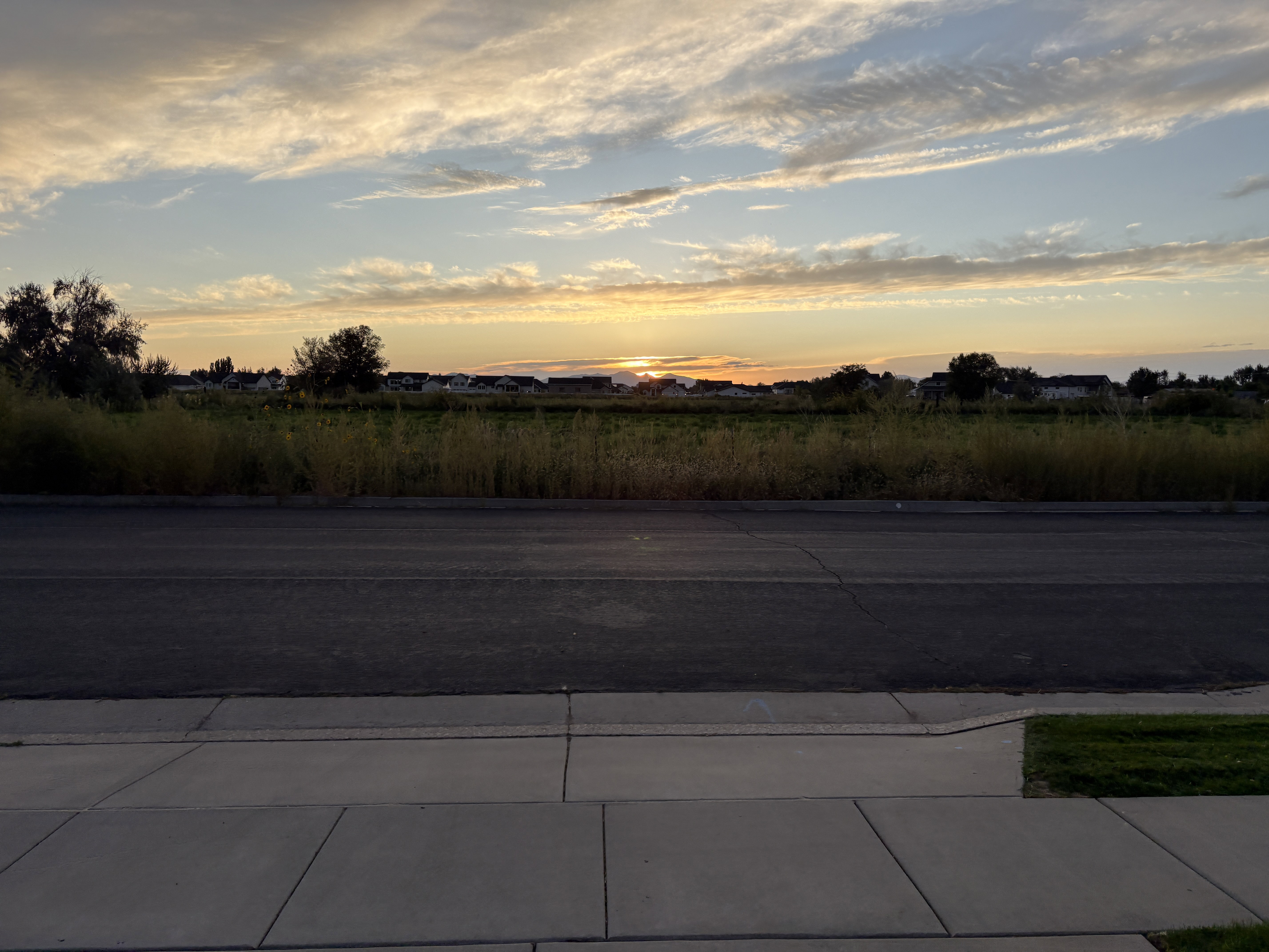 Looking West from driveway.